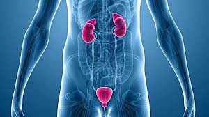 بهترین دکتر اورولوژی تهران