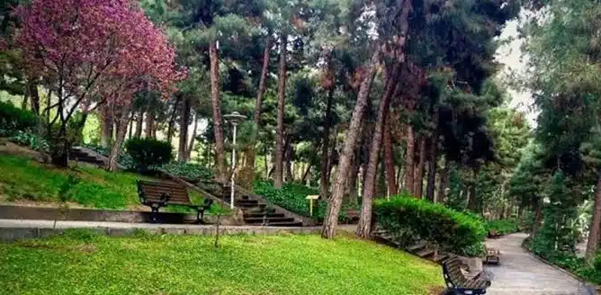 فضای دل نشین از پارک جنگلی لویزان تهران 
